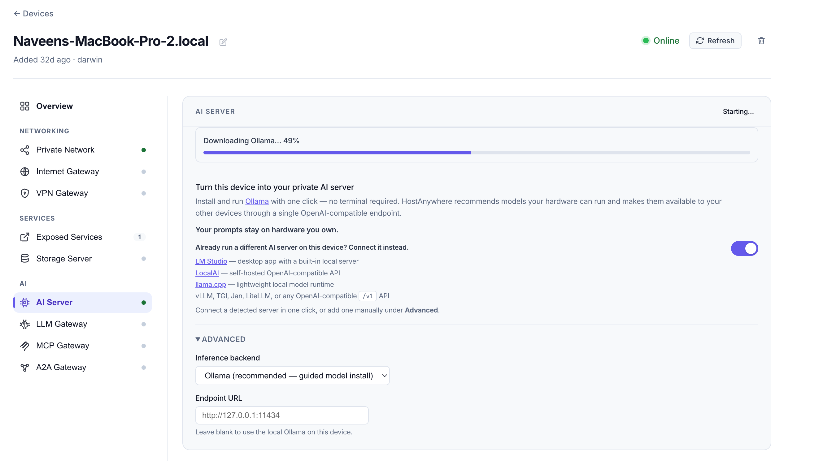 Installing the Ollama runtime on a home AI server with one click
